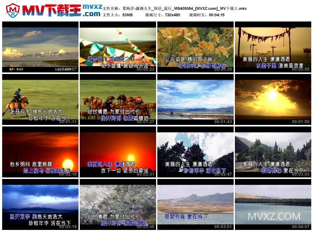 梁海洋-潇洒人生_国语_流行_MB405084